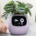 Умный горшок для комнатных растений. Masdio Ivy 4
